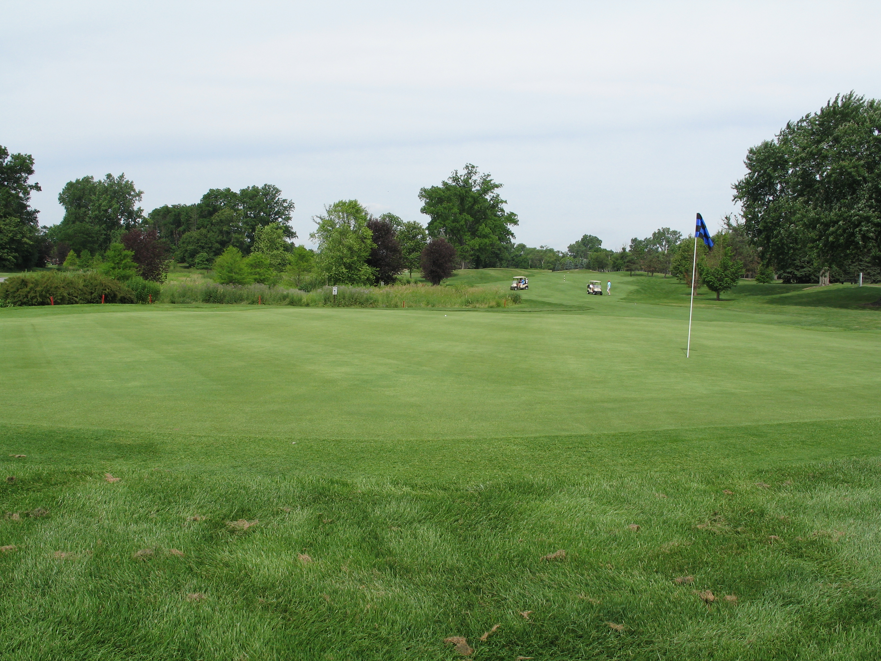 PHOTOS Sylvan Glen Golf Course's victory over winterkill