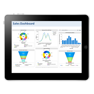 BCG's National Sales Team Dashboard
