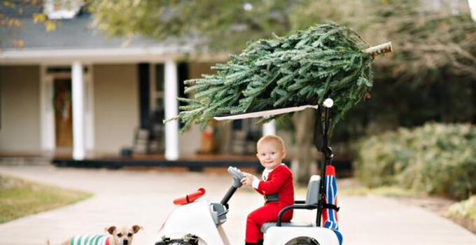 Vaughn Taylor's holiday card Vaughn Taylor's holiday card