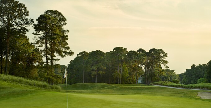Palmetto Club Palmetto Club