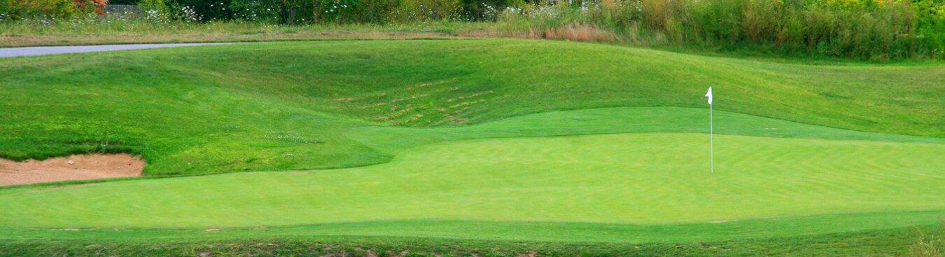 Golf Centennial Park