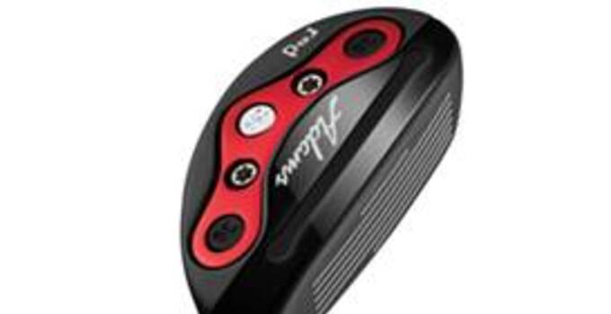 Adams Red hybrids Adams Red hybrids